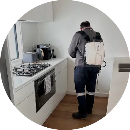 Same Day Pest Control