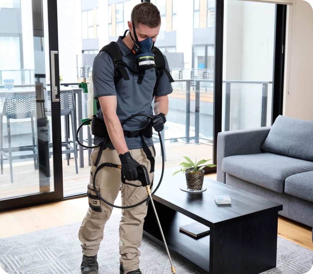 End of Lease Pest Control Solutions